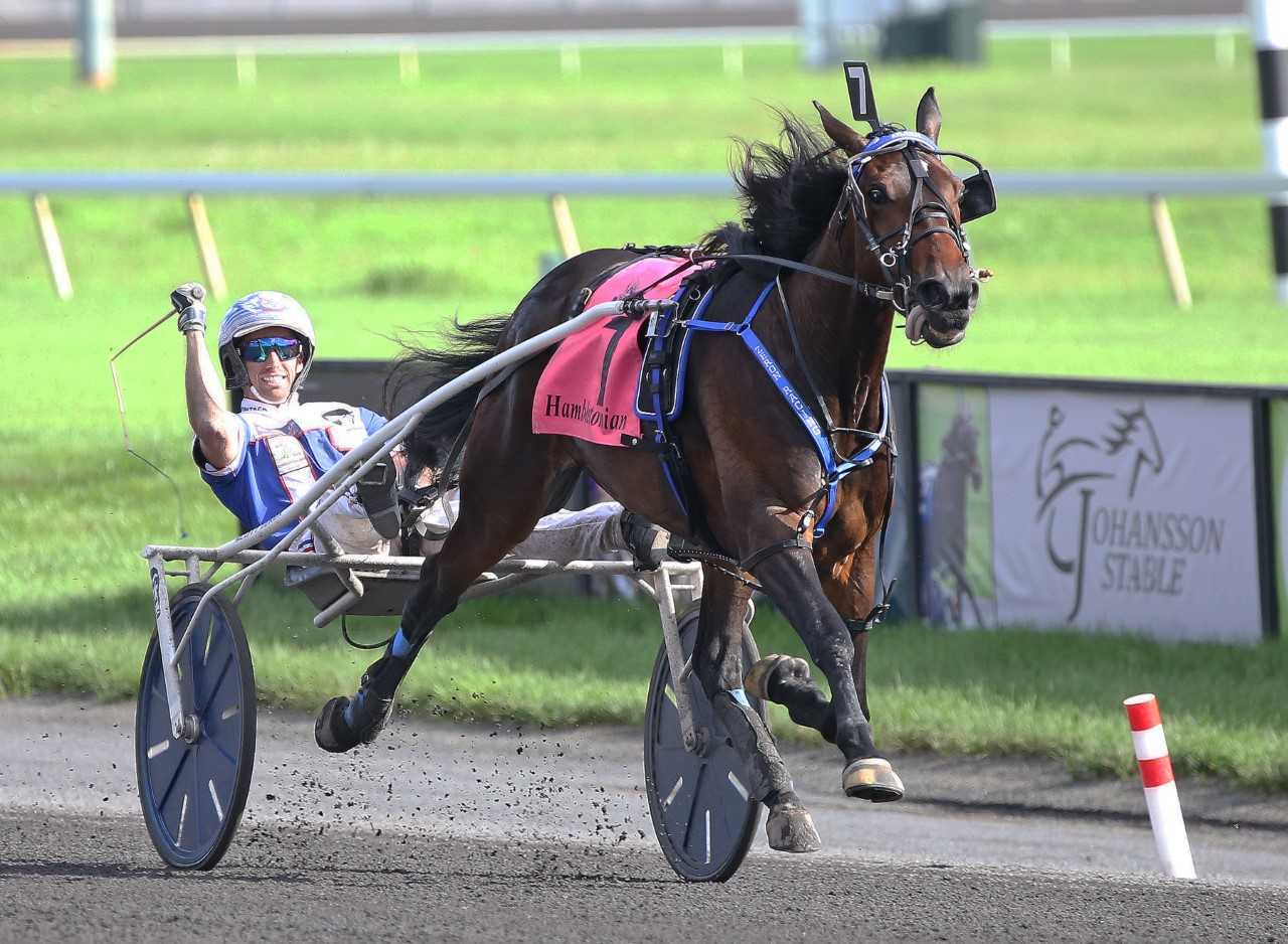 Mohawk Park to honour Atlanta Saturday