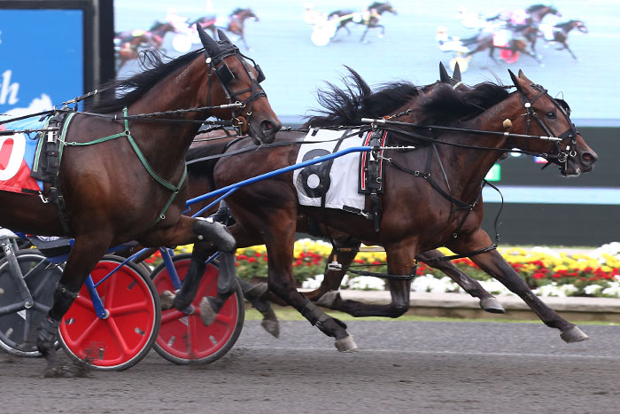 Division leader Fit Bitt delivering on his early promise