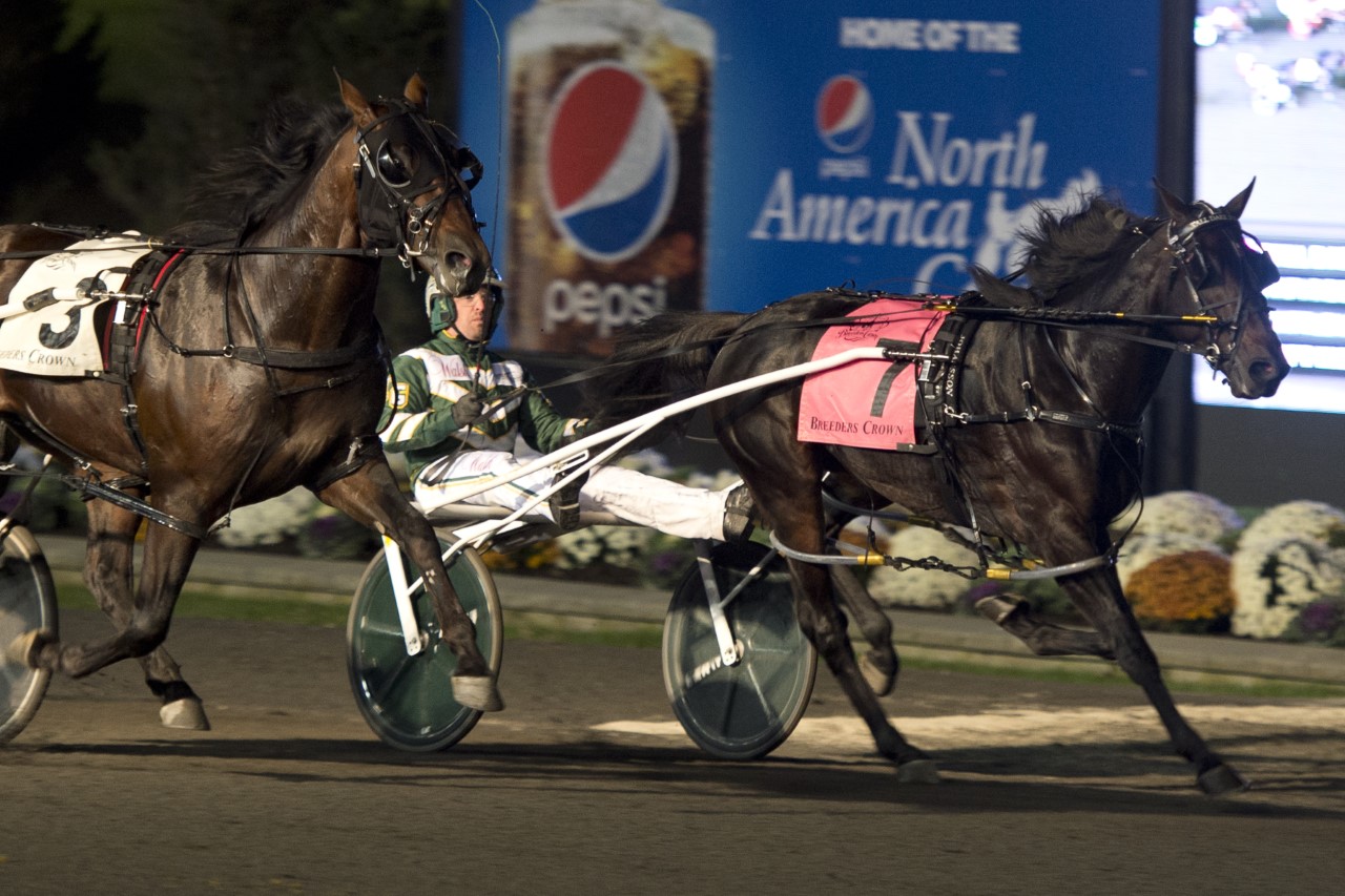 'Papi Rob' disqualified, Tall Dark Stranger claims Crown