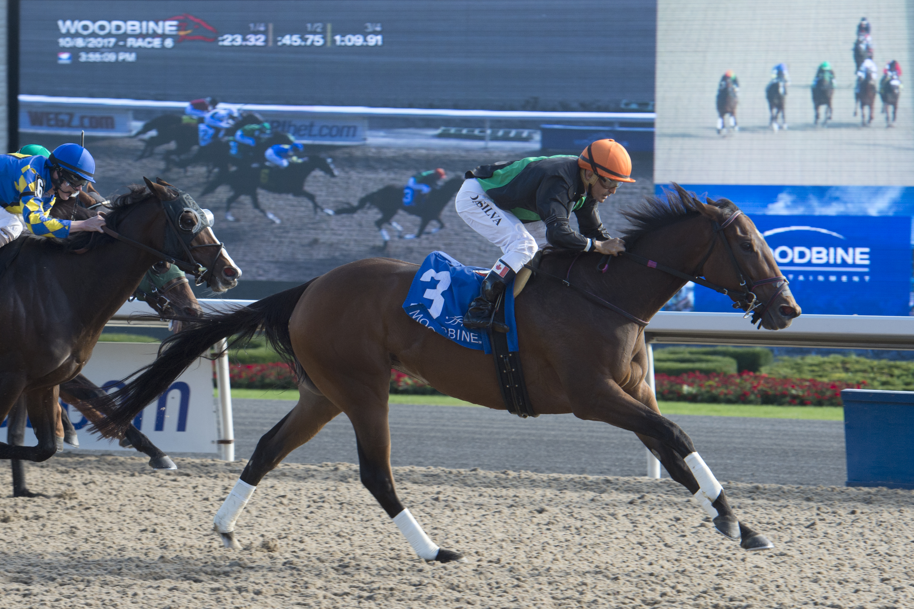 Bessarabian Stakes headlines Sunday program