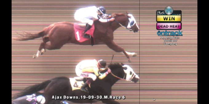 Countrys Comin Bac and Country Boy 123 Land in a Tie in Sprint Series Final at Ajax Downs