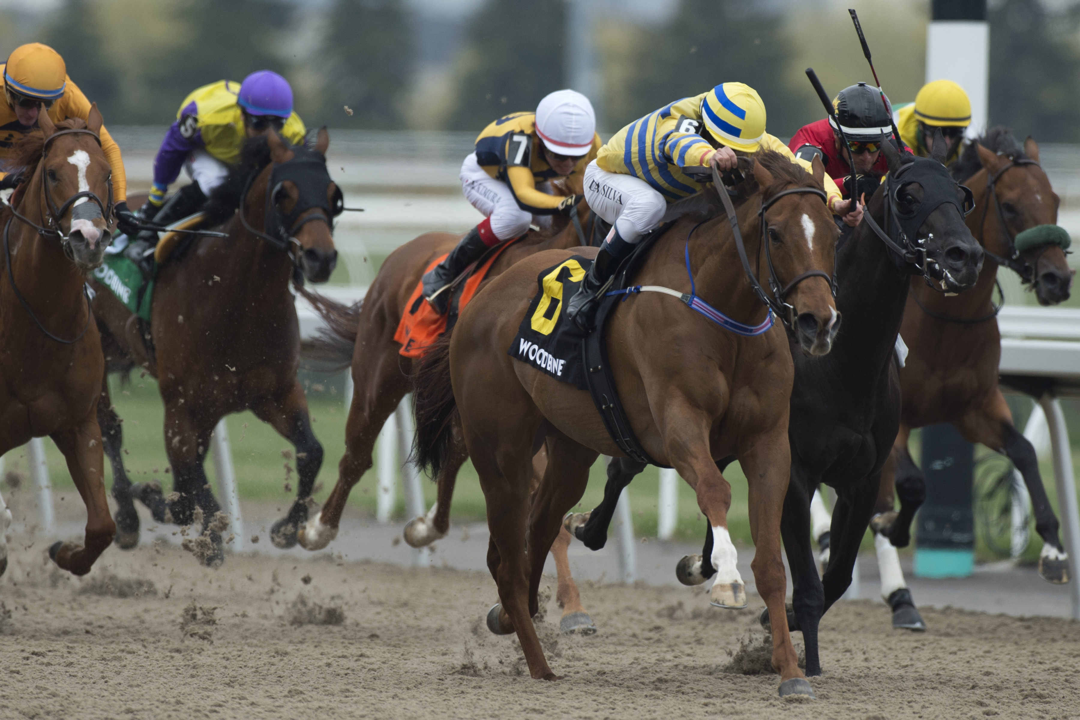 Pink Lloyd earns third straight Jacques Cartier Stakes title