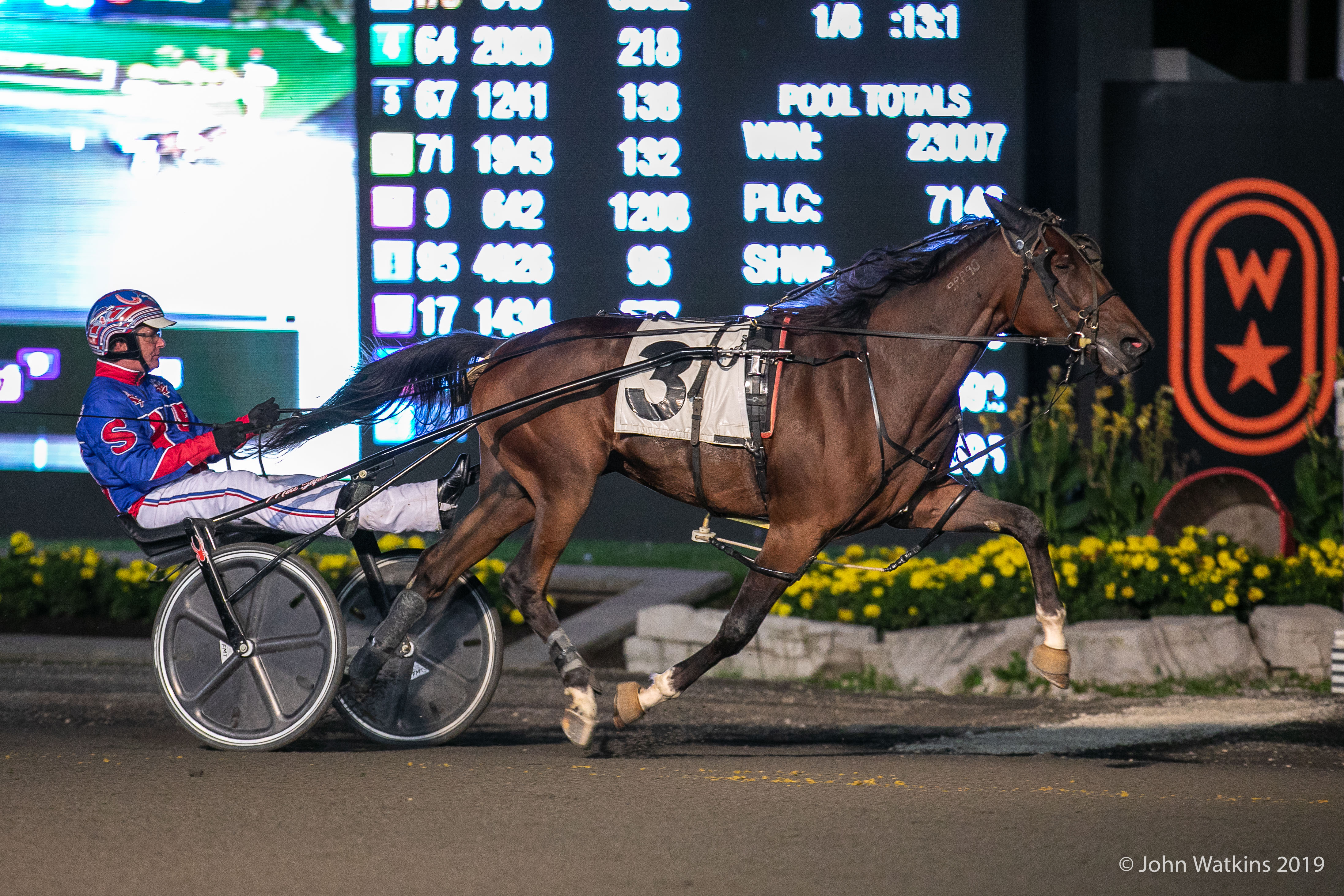 Woodbine to suspend April stakes payments
