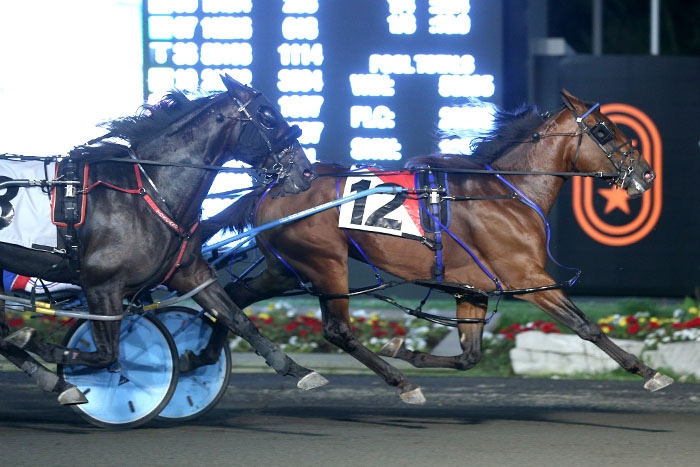 Filion carves out golden path for Century Farroh