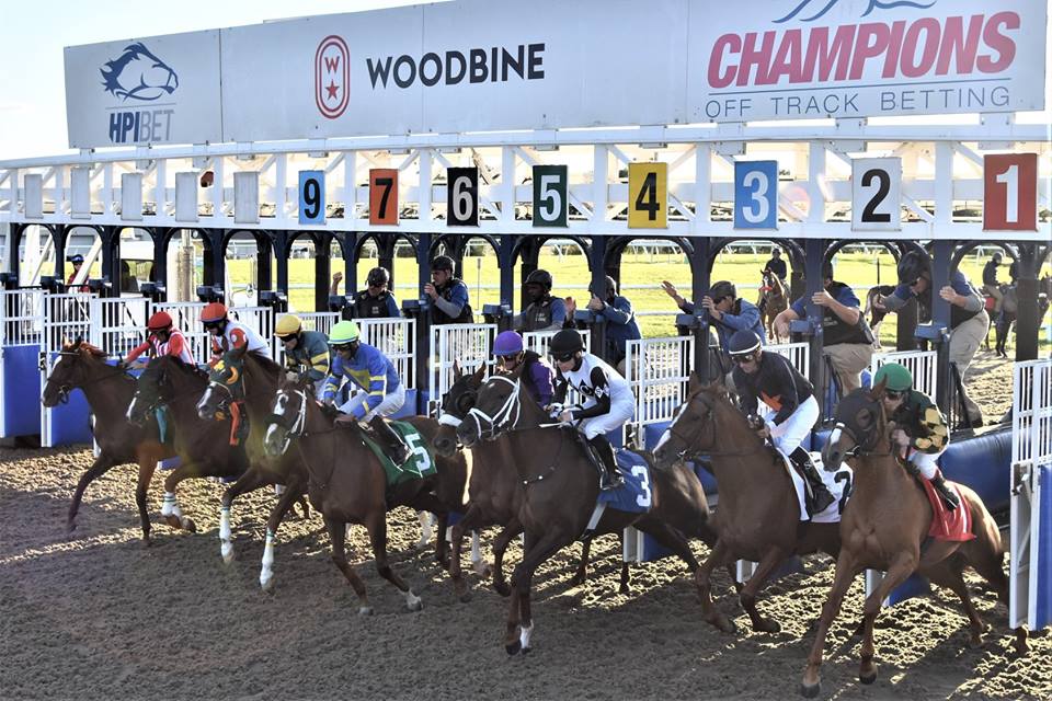 Woodbine Entertainment to Move Remaining Scheduled Turf Races to Tapeta