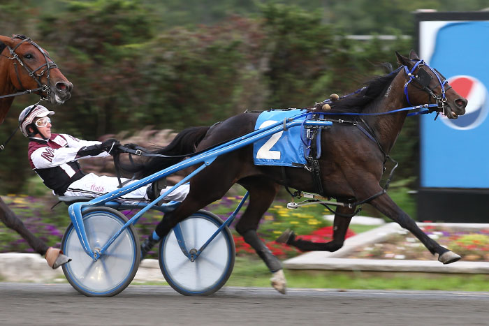 Late surge propels filly to Semi-Final