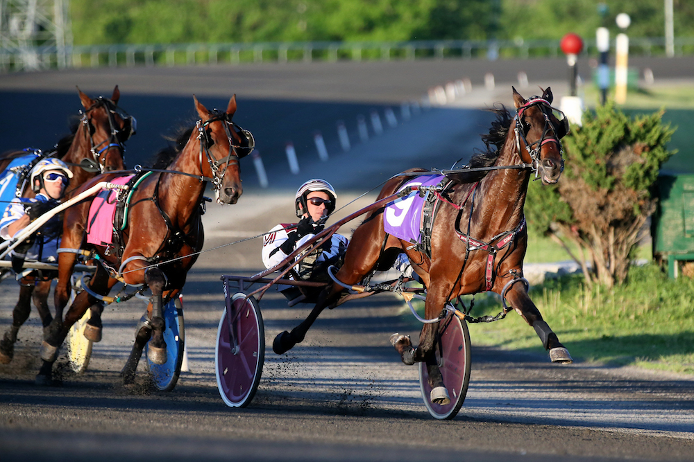 Live racing cancelled at Mohawk Park