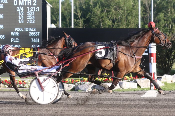 Live Streaming of Ontario Horse Racing Industry Panel Discussion Available