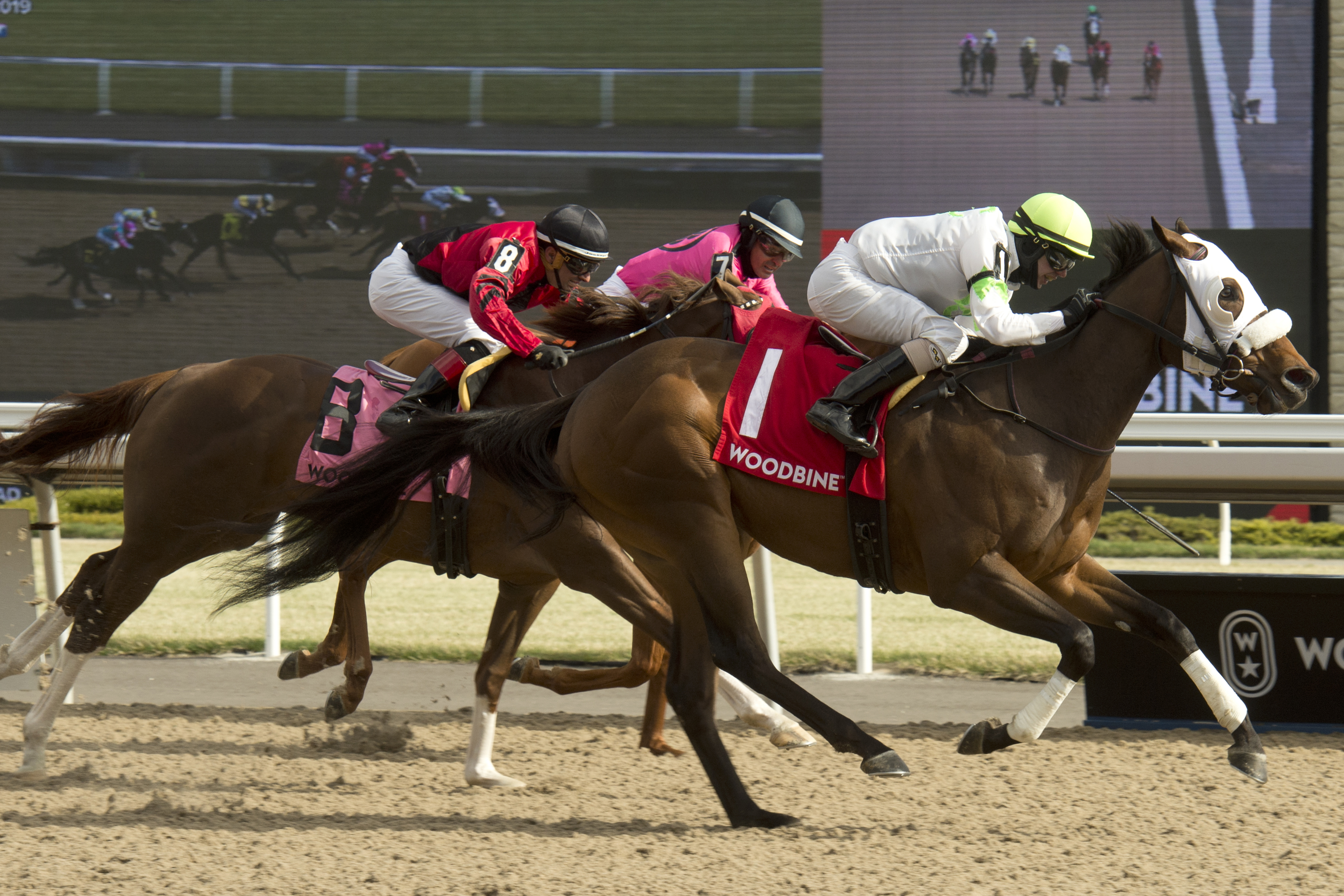 More success for Souper Success in Queenston Stakes?