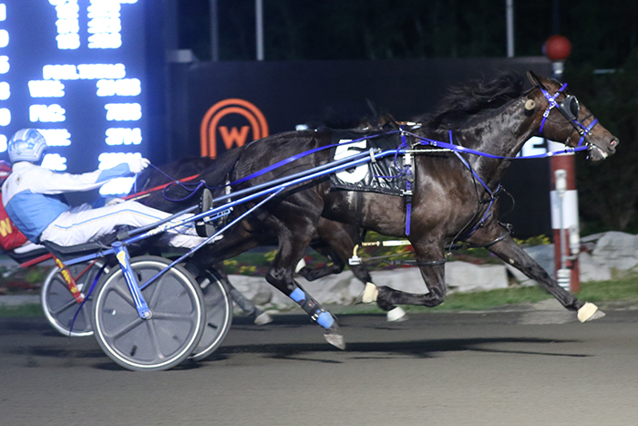 Illusioneesta takes control of Gold Series