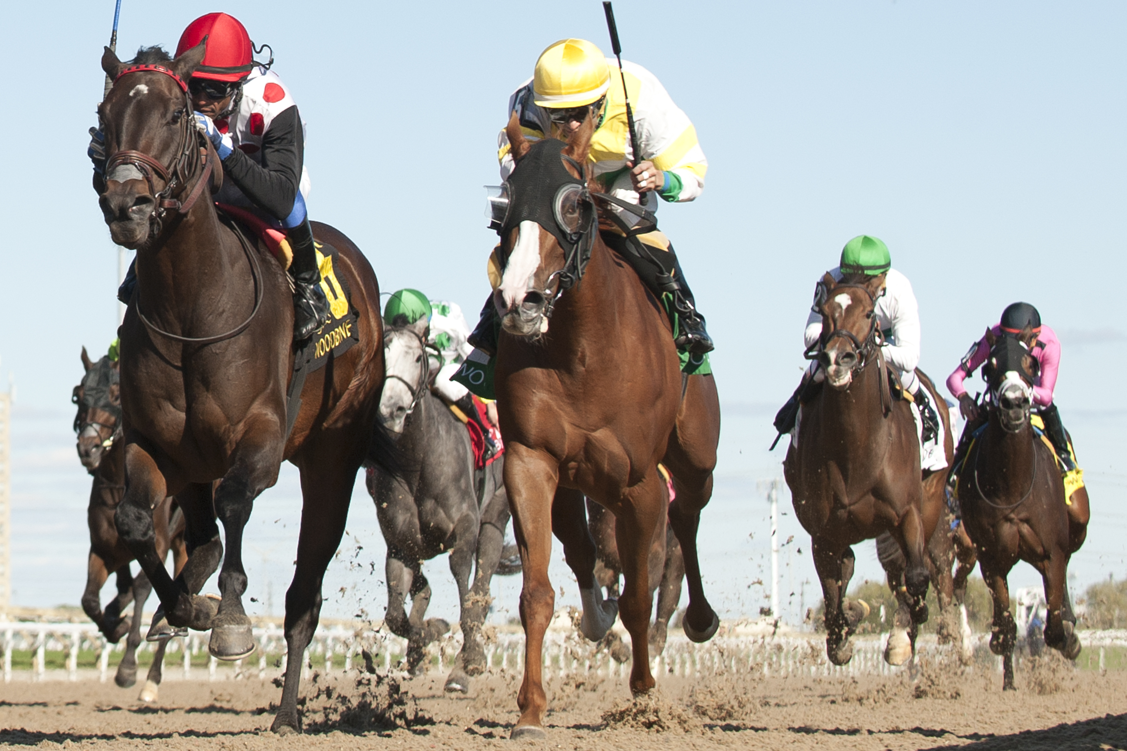 Luvutothemoonnback set to launch career in Fury Stakes