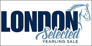 London Selected Yearling Sale key part of weekend showcasing Ontario standardbreds