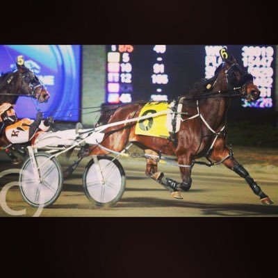 Colin Kelly Looking Forward To Western Fair Meet