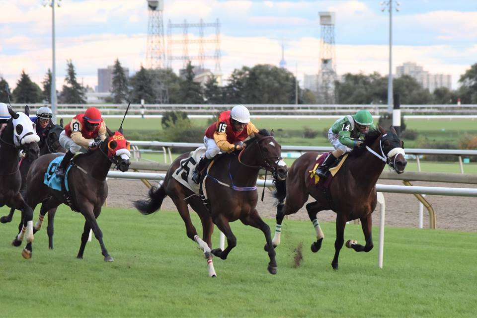 Purse Increases For Woodbine Overnight and Ontario Bonus Programs