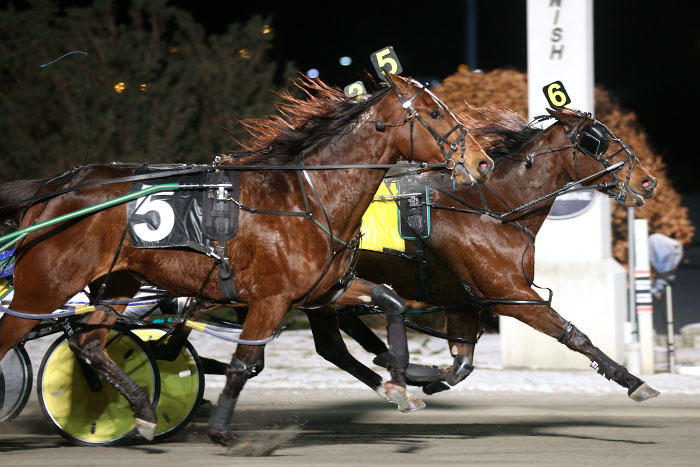 Live racing cancelled Saturday at Woodbine