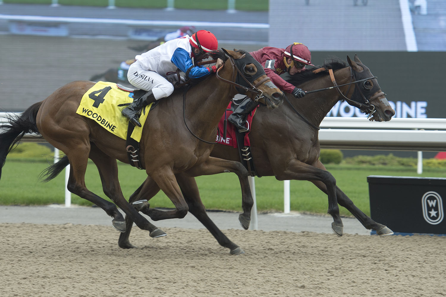 Woodbine Oaks: Simon looks to flip the script with Bold Script / Looking to lay down the ‘Law’ in Plate Trial