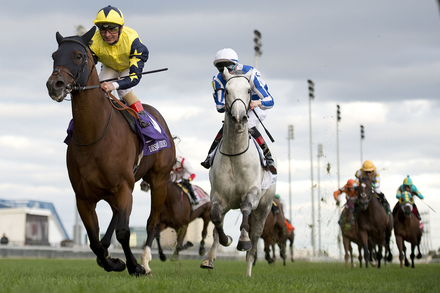 Defending champion Desert Encounter tops Pattison Canadian International nominees