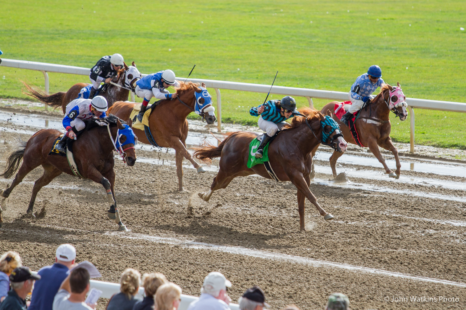 Chick In Pink Wins For The Slater Family