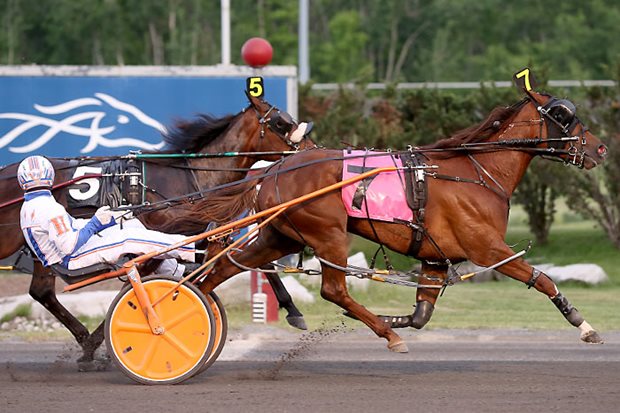 Cracklin Rosie makes Cirillo’s dream come true