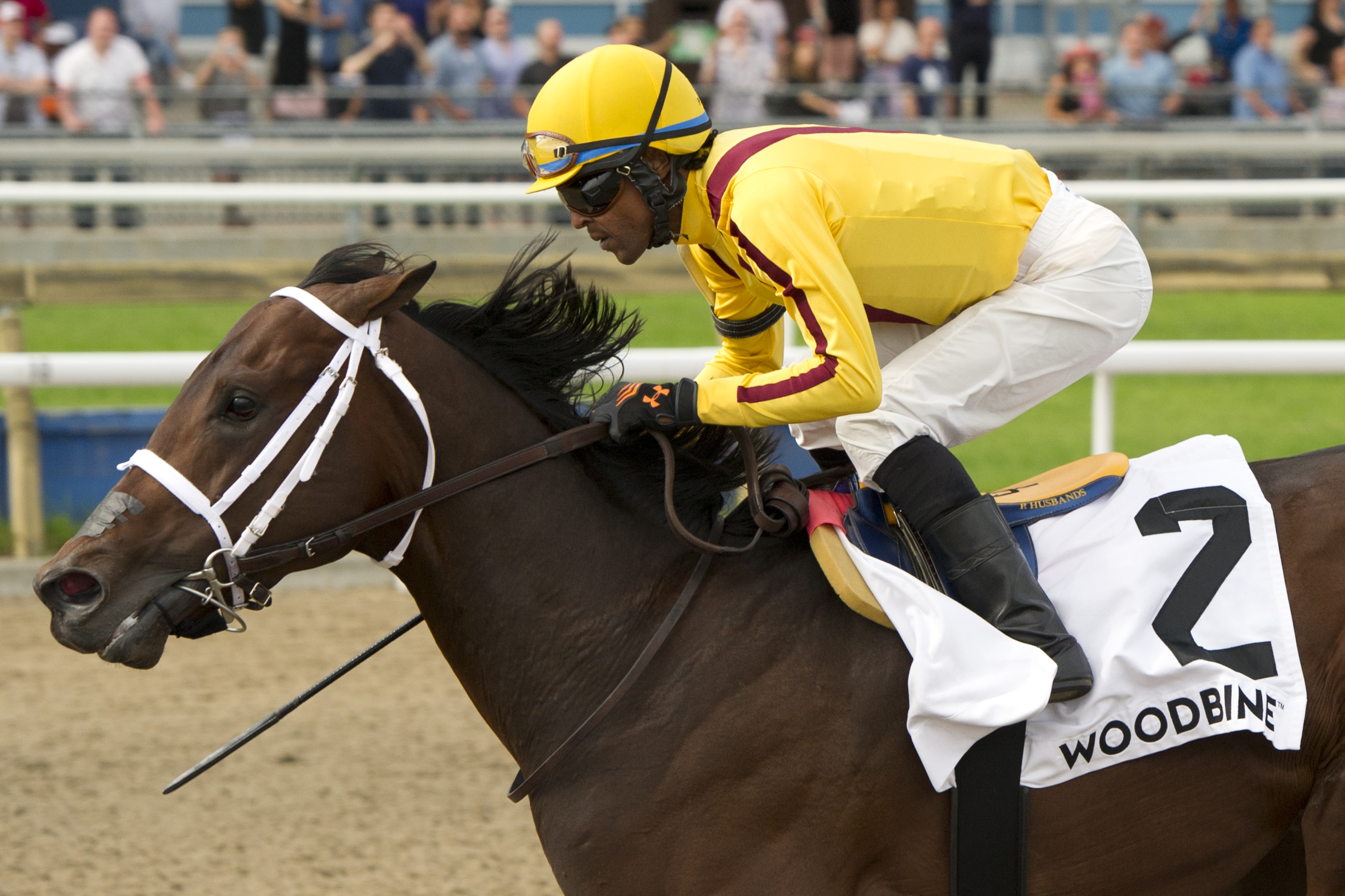 Telekinesis headlines 159th edition of The Queen’s Plate