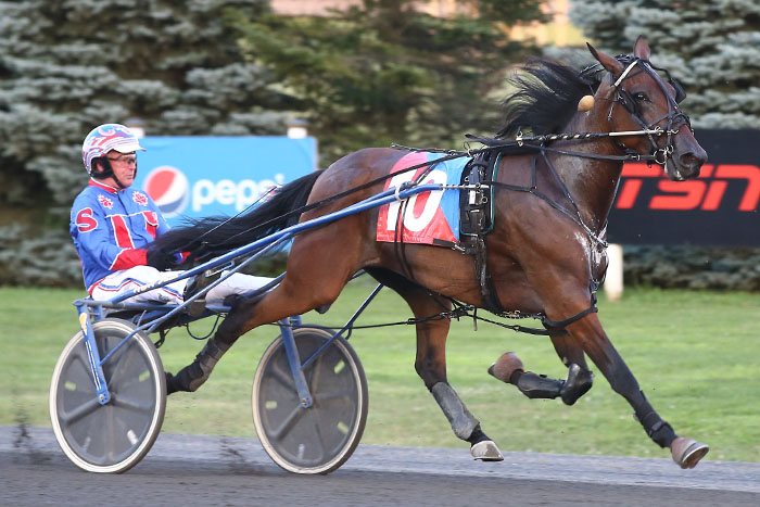 Kerwood hoping filly’s Grassroots stay a brief one