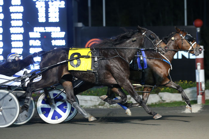 Trio of Super Final wins puts Roy in the leading driver’s seat