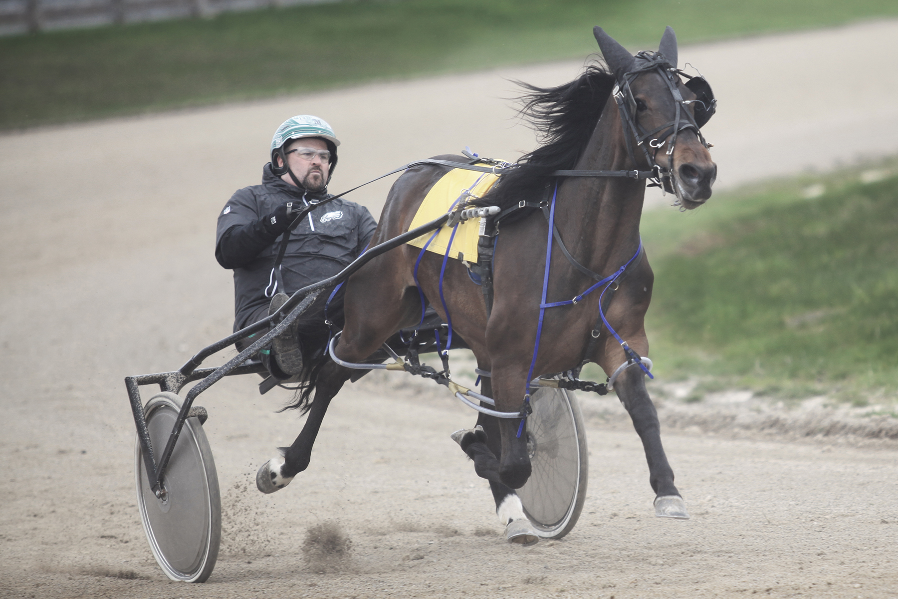 Training triple for McGinnis and TheStable.ca in Ohio Sires Stakes