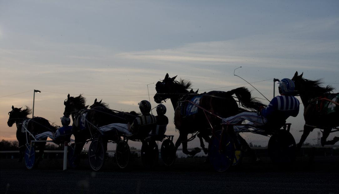 Ontario Racing announces two new Ontario Sired series for fall