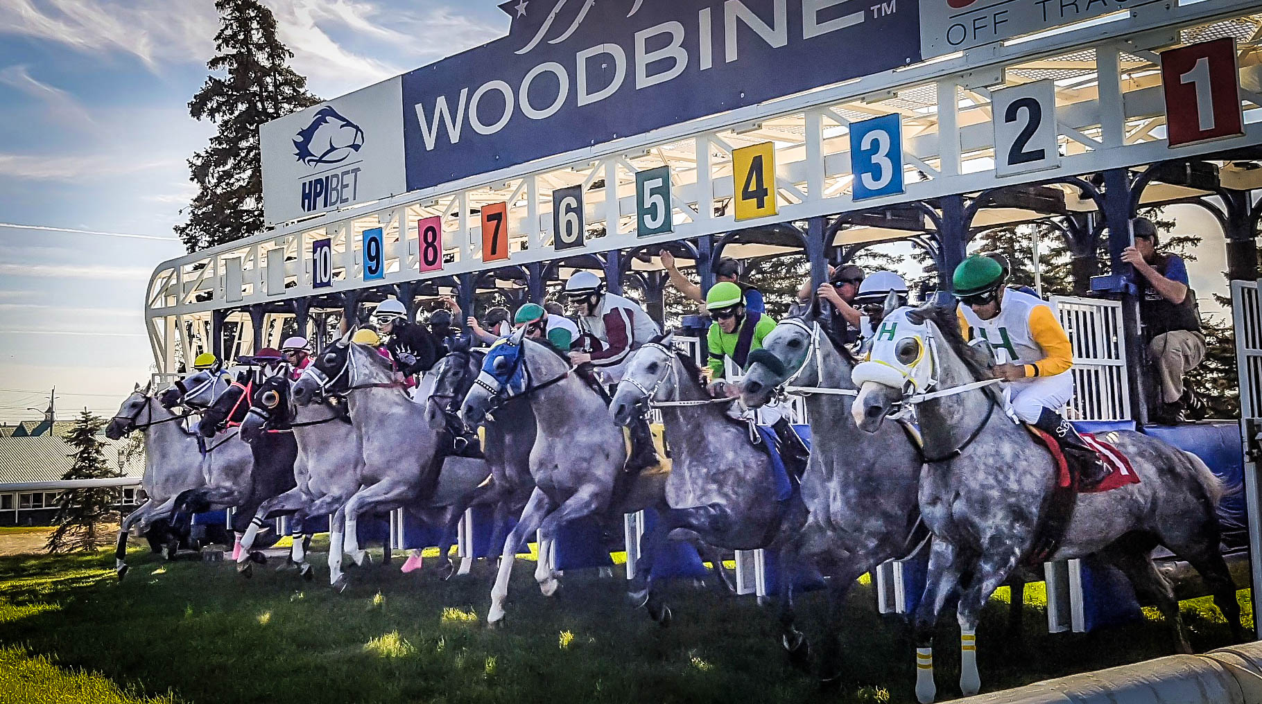 The Horse Racing Photos 12 Days of Christmas: The 10th Day