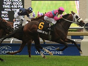 Ontario Stallion Spotlight: Court of the Realm